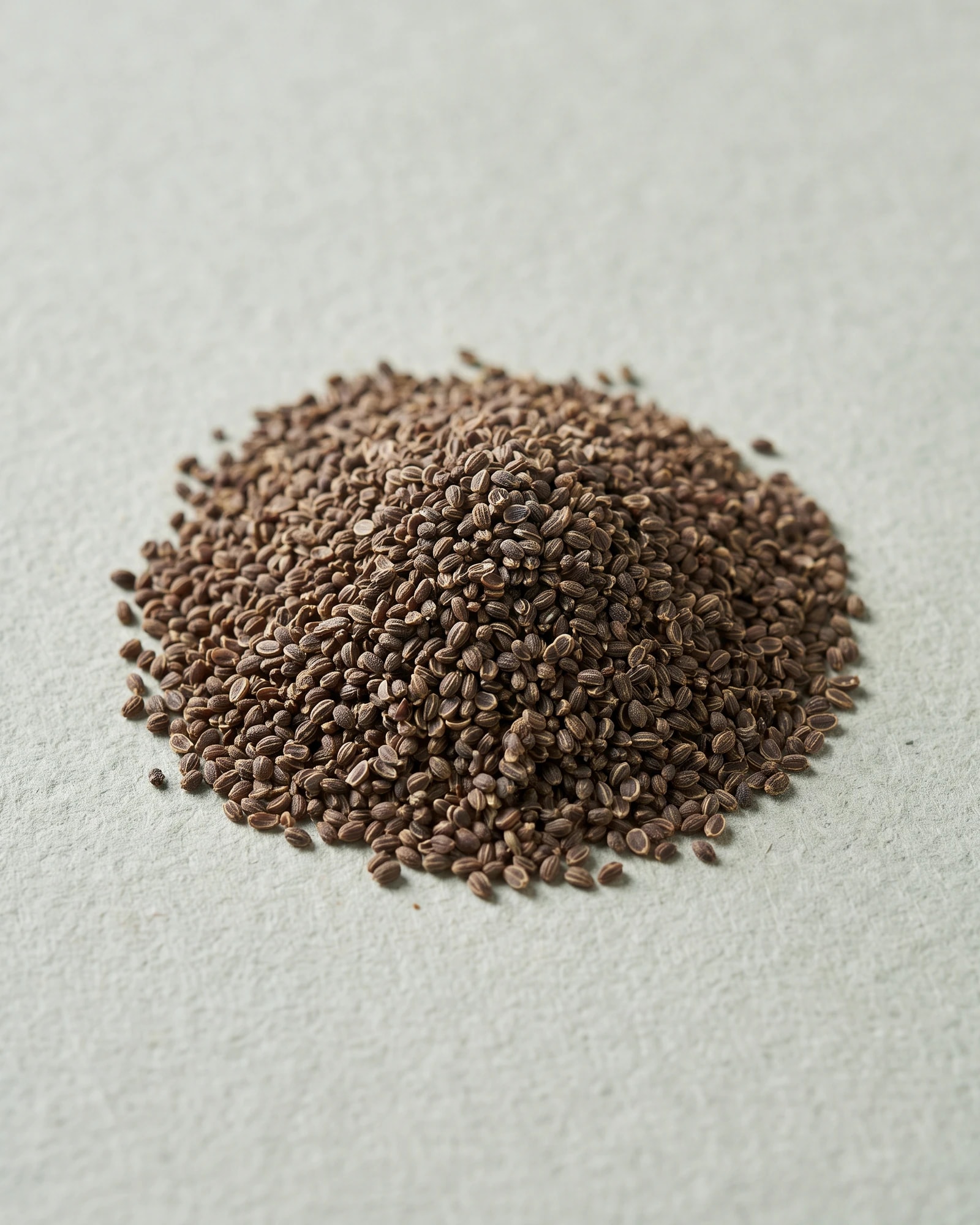 Celery Seeds