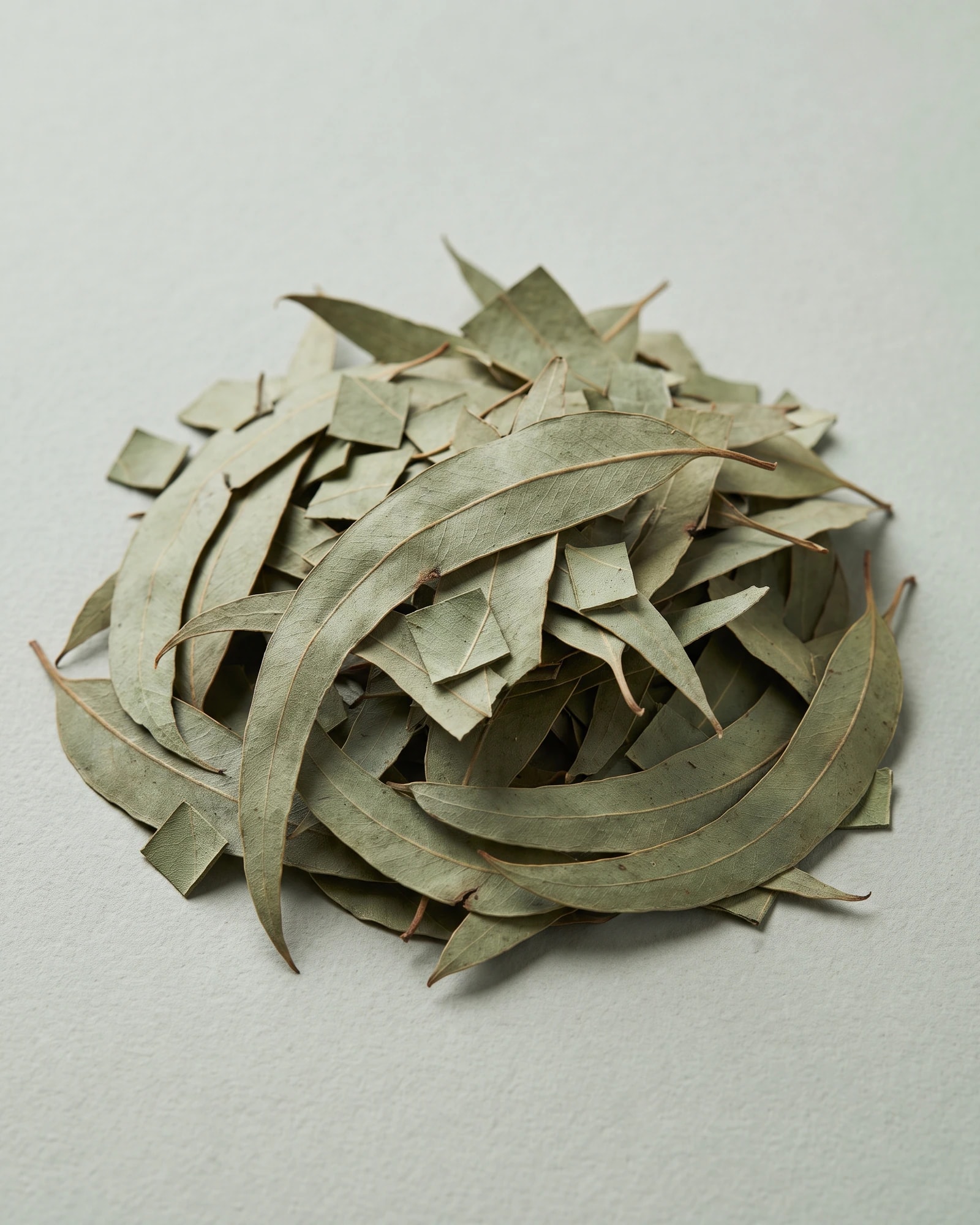 Eucalyptus Leaves