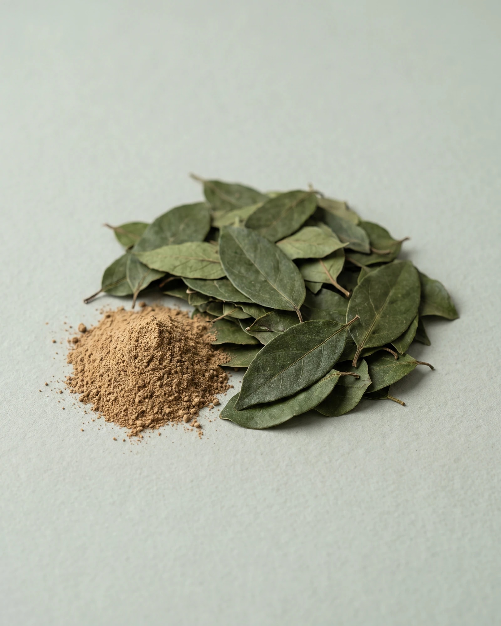 Gymnema Leaves and Extract