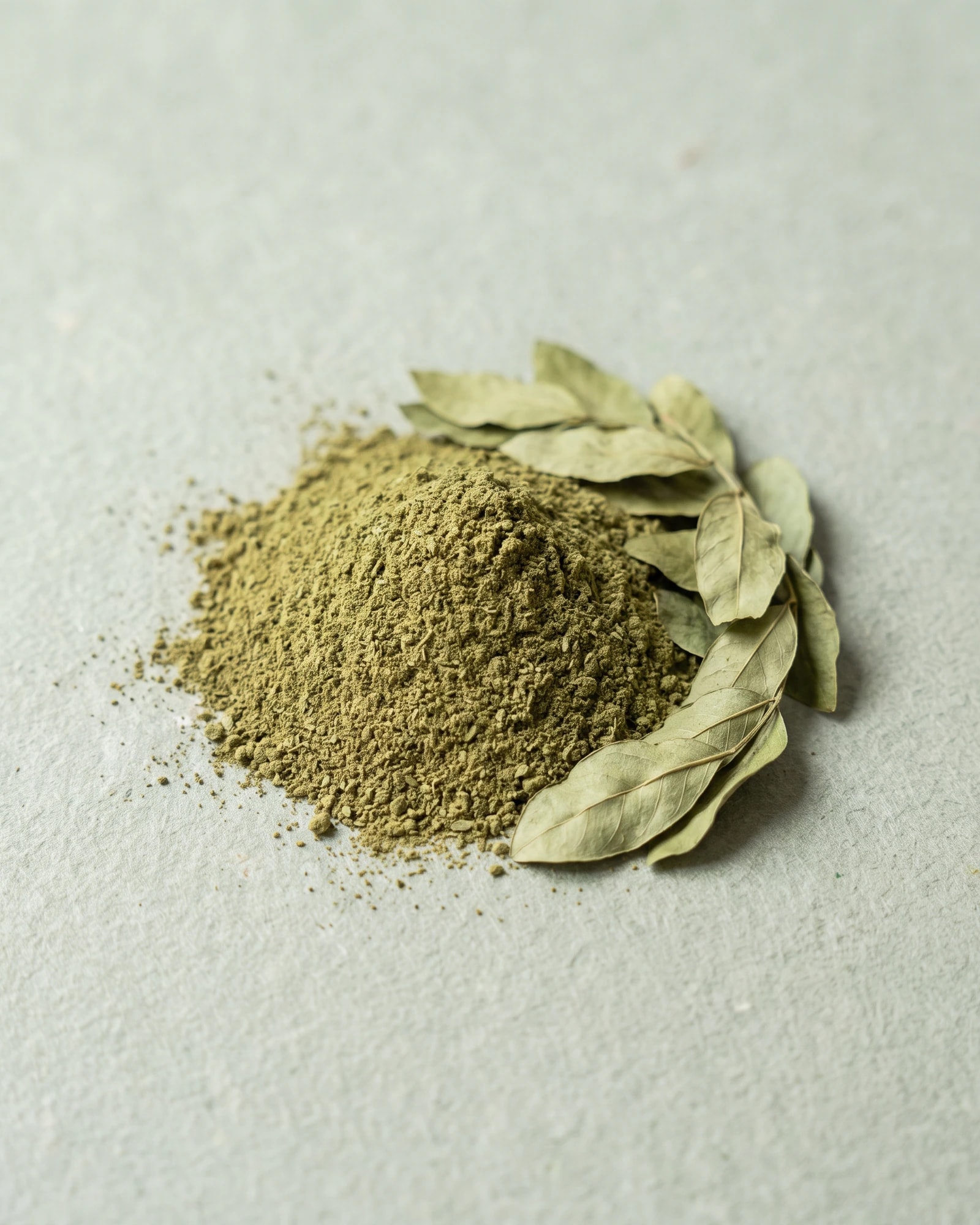 Senna Leaves Powder